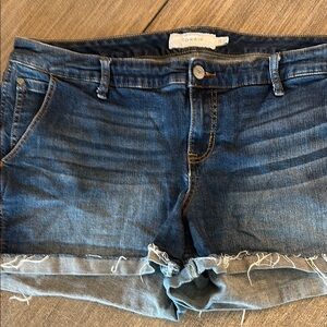 Torrid Denim Cutoff Shorts